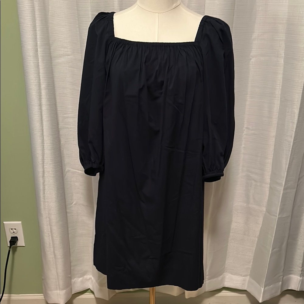 NWT!  Madewell dress